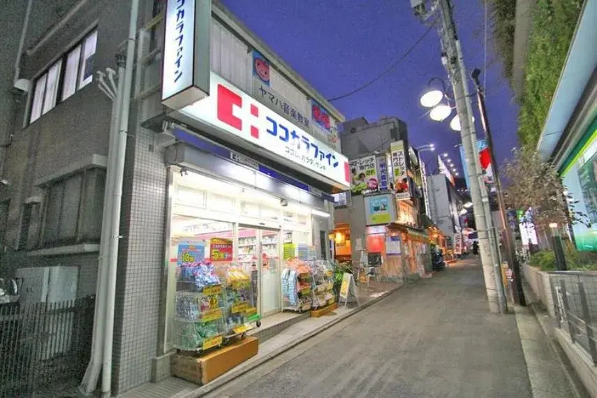 2LDK Property Setagaya-ku Tokyo (9)