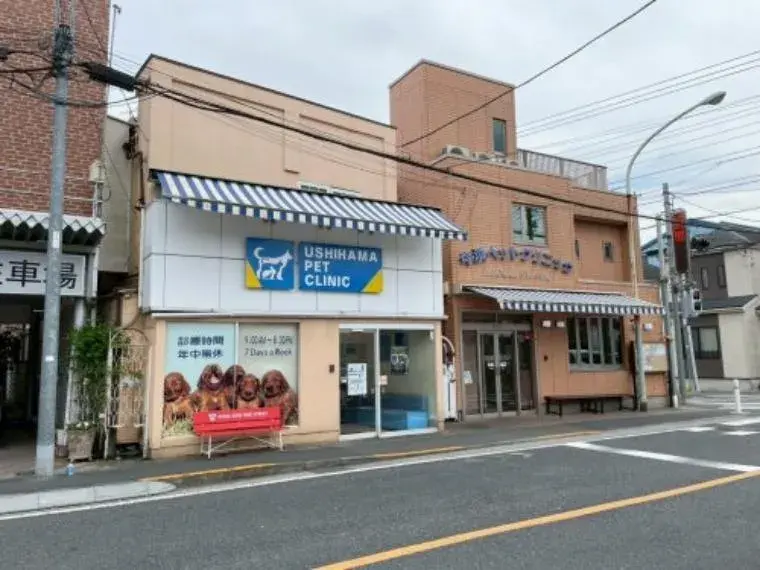 3LDK Property Fussa City Tokyo (29)