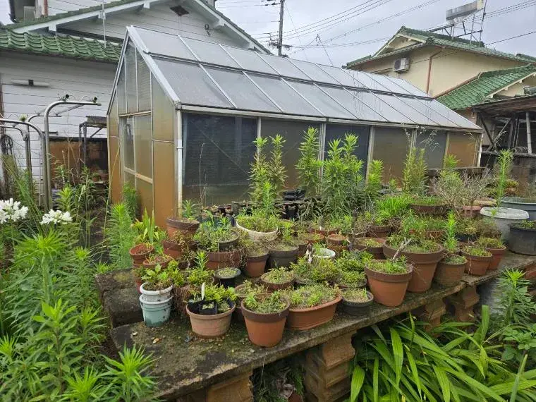 5DK Iwade City Prefectura de Wakayama (2)