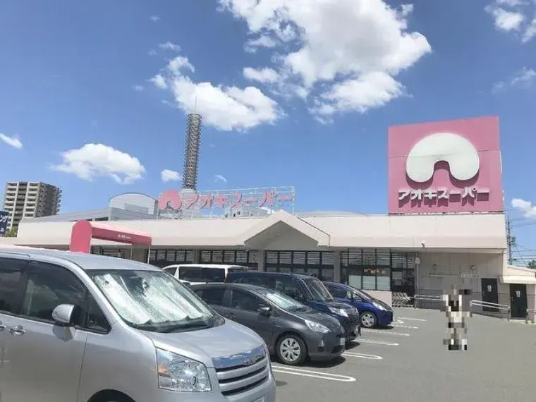 1R город Obu префектура Aichi (23)