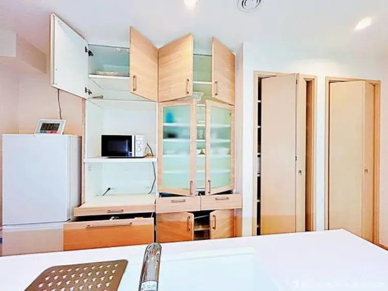 3LDK Ville de Higashimurayama Tokyo (15)
