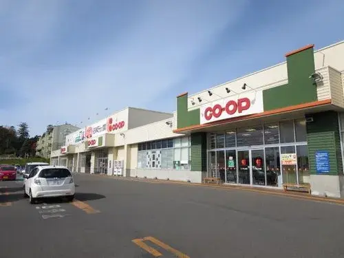 4LDK Property Kitami City Hokkaido (13)