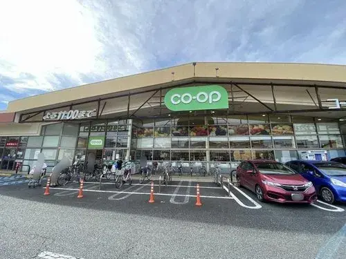 4LDK Tokorozawa City Saitama Prefecture (16)
