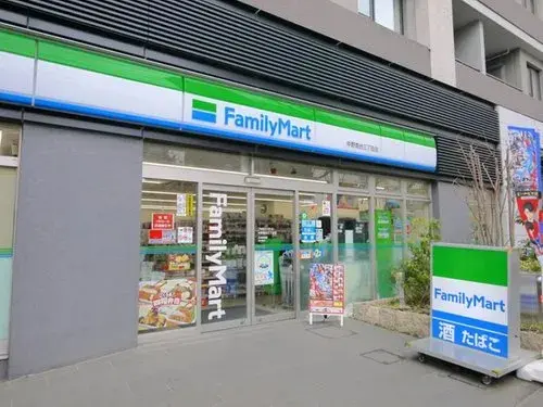 3LDK+S Property Nakano Ward Tokyo (6)