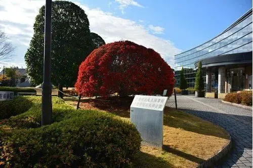 6DK Koshu Yamanashi Property (7)