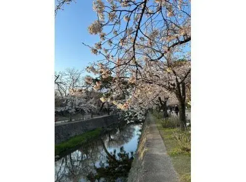 3LDK物件 西宮市 兵庫県 (11)