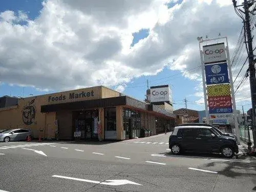 4LDK房产 广岛市 广岛县 (20)