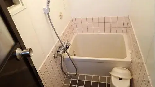 4DK مدينة ميوشي محافظة توكوشيما (15)