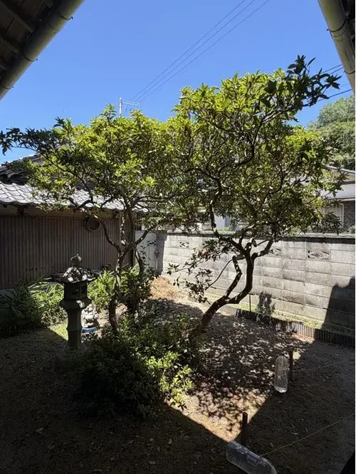 6DK 高松市 香川县 (12)