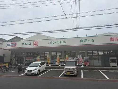 3LDK Adachi-ku Tokyo (9)