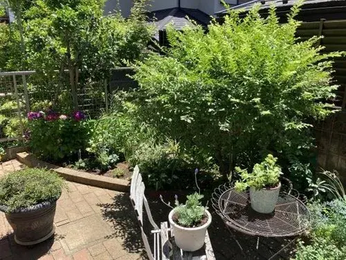 4LDK Property Yokohama City Kanagawa Prefecture (14)
