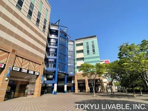 Kanagawa Yokohama 5LDK Residence (19)