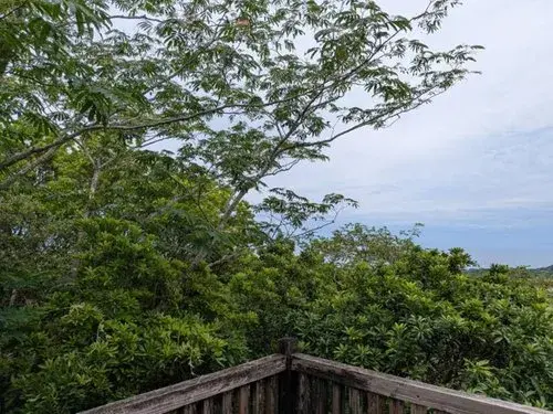 1DK Property Geisei-mura, Aki-gun Kochi Prefecture (17)