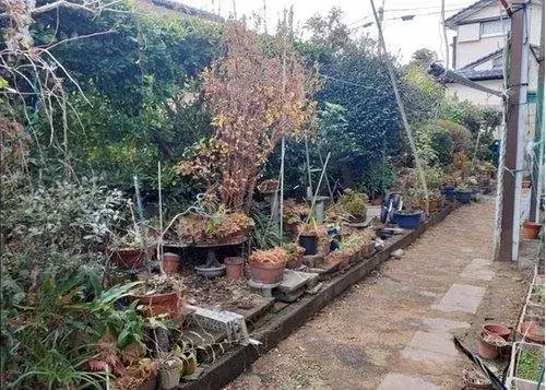 Propiedad 5DK Ciudad de Miyazaki Prefectura de Miyazaki (14)