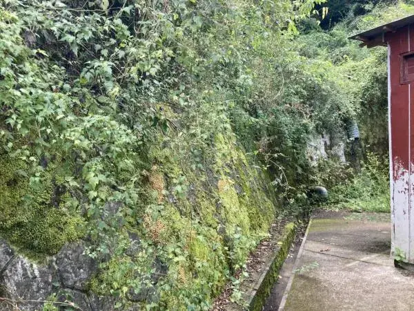 Propiedad 1K Nakagawa-machi Prefectura de Tochigi (4)