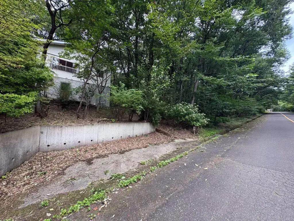 2LDK Nasu-machi Tochigi Prefecture Property (15)