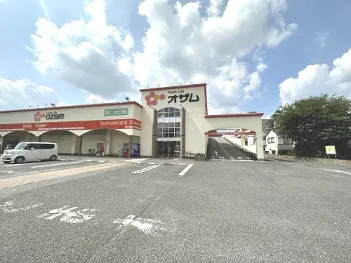 3LDK Niiza City Saitama Prefecture (14)