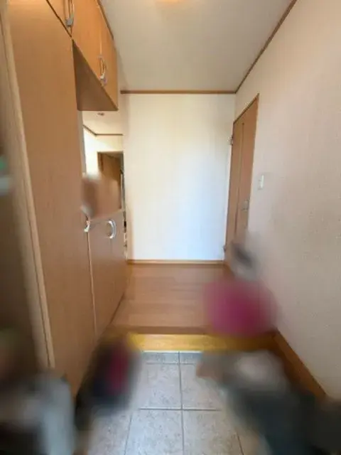 4LDK Property Takahama City Aichi Prefecture (7)
