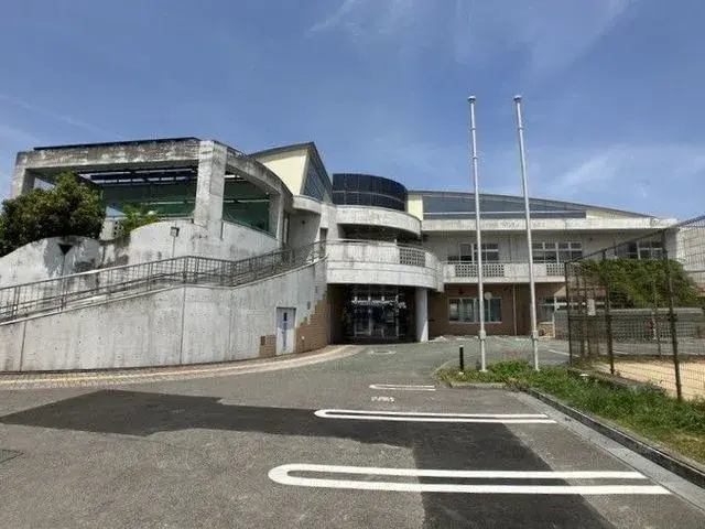 5K Matsuyama City Ehime Prefecture (11)