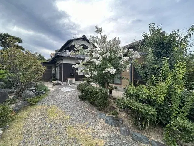 5K Matsuyama City Ehime Prefecture (3)