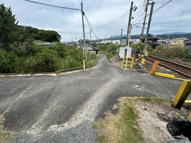 5K Matsuyama City Ehime Prefecture (24)