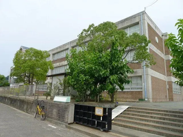 5K Matsuyama City Ehime Prefecture (25)
