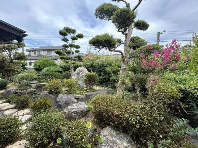 5K Matsuyama City Ehime Prefecture (9)