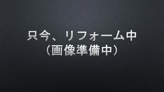 4LDK Kagoshima City Kagoshima Prefecture (10)