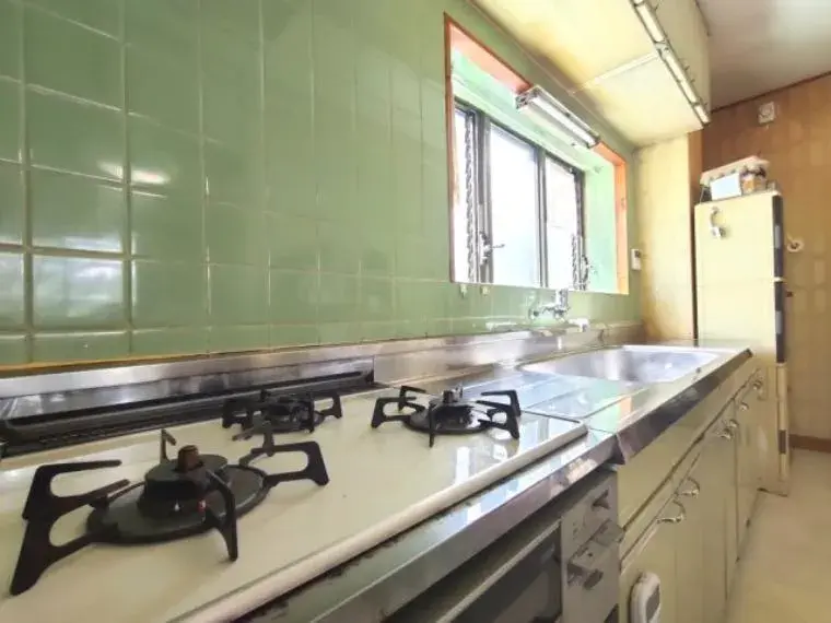 4SLDK Property Koto Ward Tokyo (5)