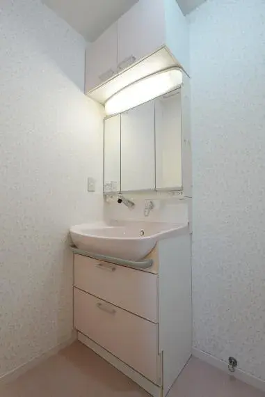 4LDK+Storage Yokohama City Kanagawa Prefecture (22)
