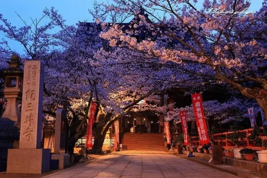 4LDK Property Wakayama City Wakayama Prefecture (19)