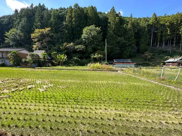 3K 有田郡有田川町 和歌山県物件 (11)