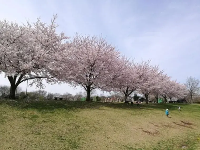 4SLDK Property Kashiwa City Chiba Prefecture (15)