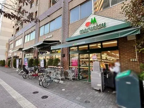 3K+S Property Arakawa-ku Tokyo (12)