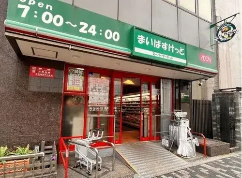 3K+S Property Arakawa-ku Tokyo (13)