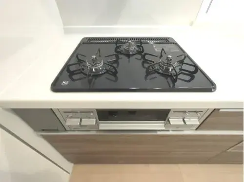 3LDK+S Property Edogawa-ku, Tokyo (13)