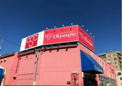 3LDK+S Adachi-ku Tokyo (19)