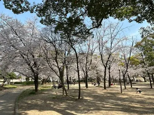 عقار 4LDK+S في Hirano-ku، مدينة Osaka، محافظة Osaka (18)