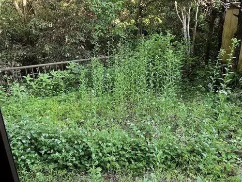 4LDK房产 广岛市 广岛县 (20)