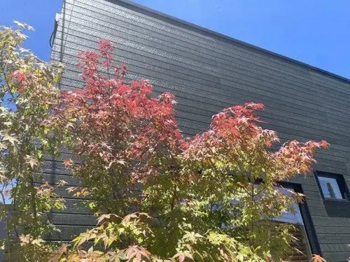 3LDK那珂川市福岡県物件 (15)