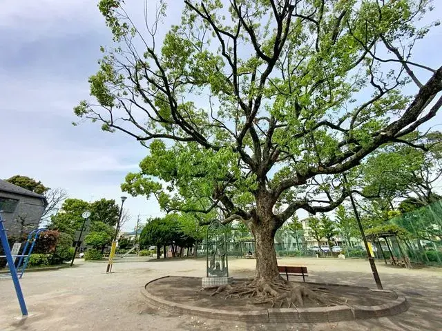 3SLDK Edogawa-ku Tokyo (14)