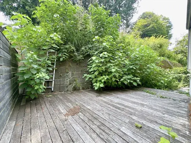 4LDK Property Hachioji City Tokyo (19)