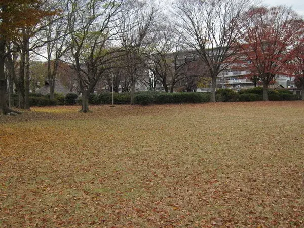 4LDK Property Hachioji City Tokyo (29)