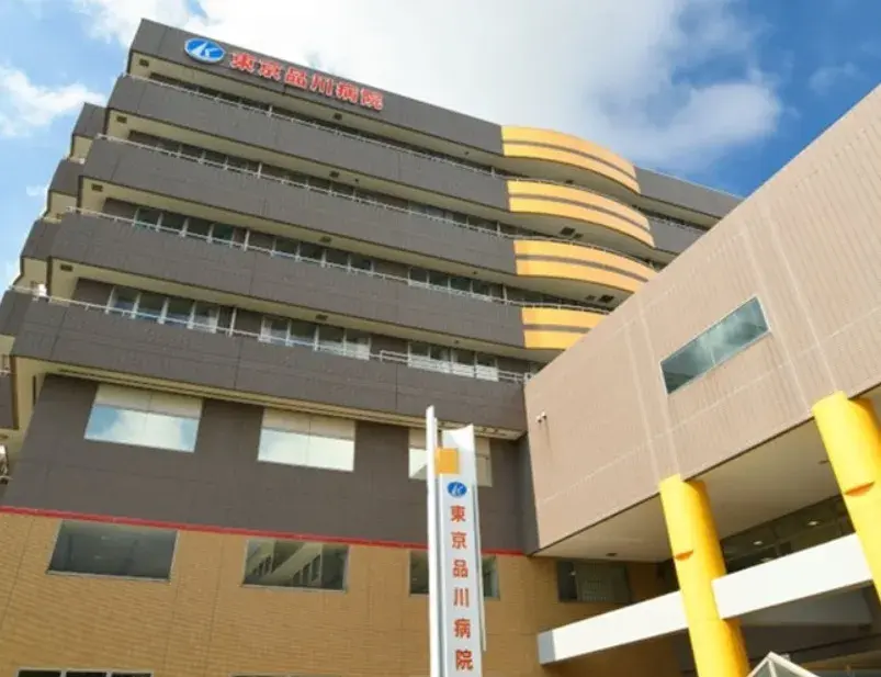 3LDK Shinagawa Ward Tokyo (25)