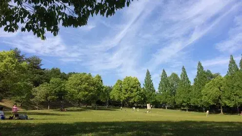 6DK Property Minokamo City Gifu Prefecture (19)