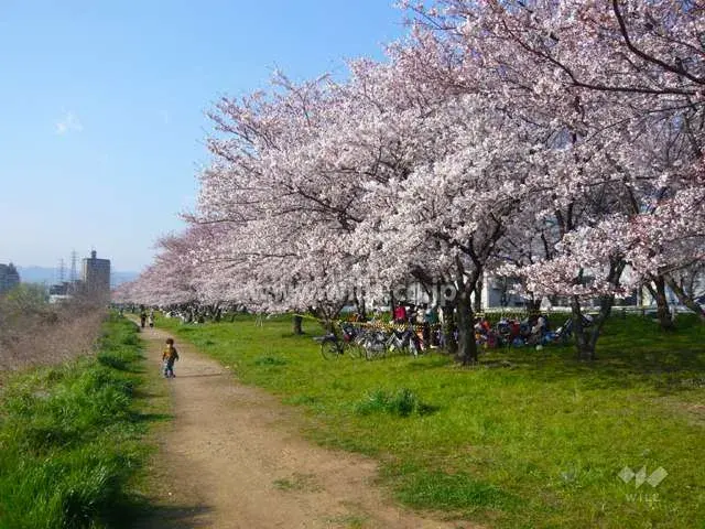 Propriété 3SLDK
Ville de Takarazuka
Préfecture de Hyogo (16)