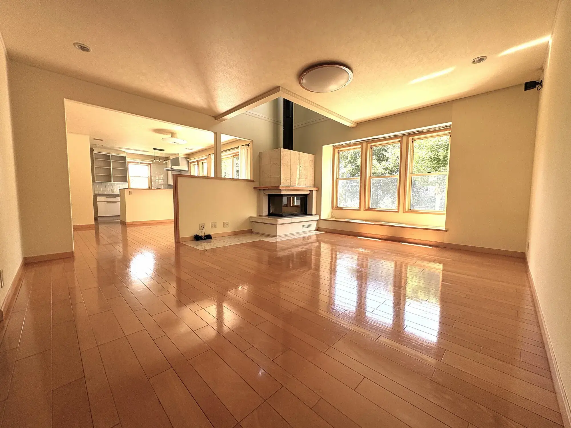 4SLDK Property Kochi City Kochi Prefecture (3)