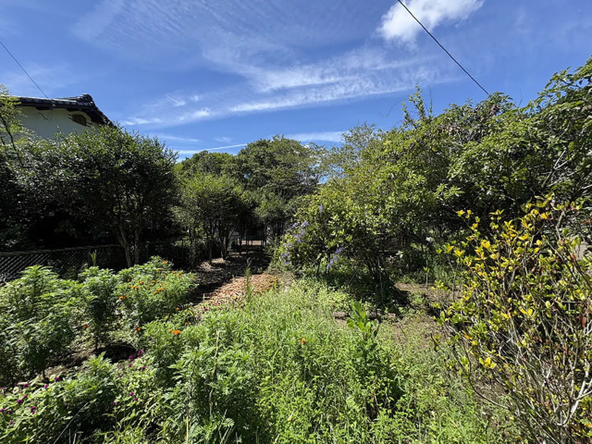 3SLDK Miyazaki City Miyazaki Prefecture (4)