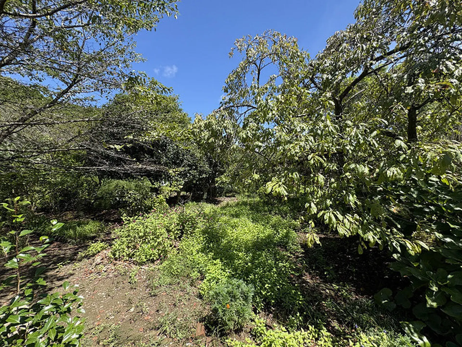 3SLDK Miyazaki City Miyazaki Prefecture (9)