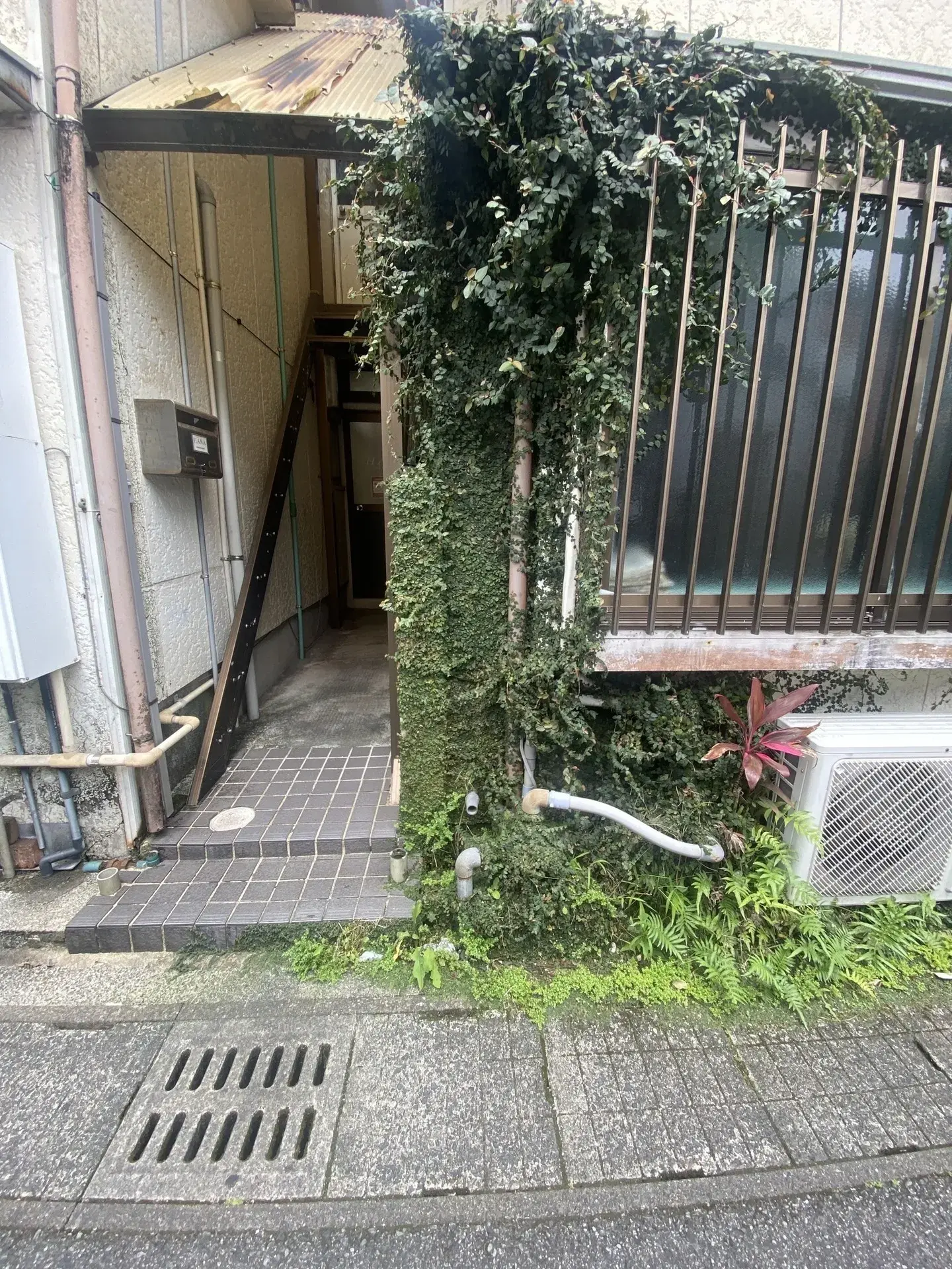 4DK 奄美市 鹿児島県 (3)
